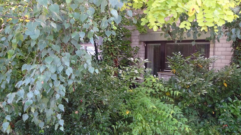Guest Apartment Unterbach Ντίσελντορφ Δωμάτιο φωτογραφία